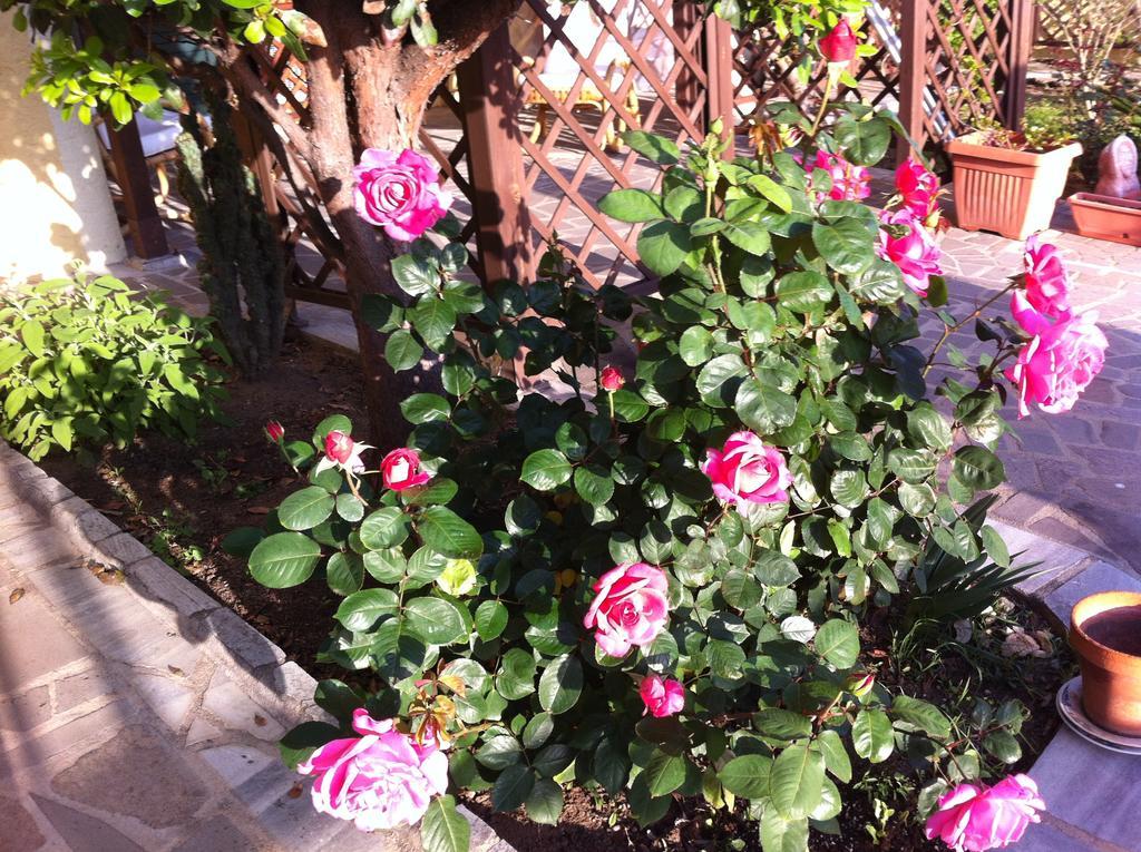 Bed and Breakfast Torre Del Pozzo S'archittu Cuglieri Exterior foto