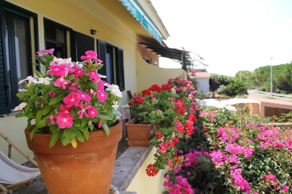 Bed and Breakfast Torre Del Pozzo S'archittu Cuglieri Exterior foto